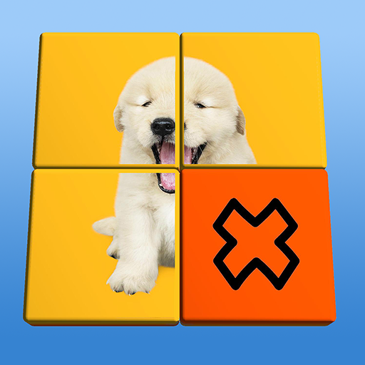 Flip Puzzle Download on Windows