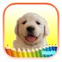 Puppy Dog Coloring Book.