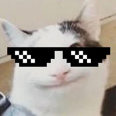 Download Funny Cat Discord Profile Picture