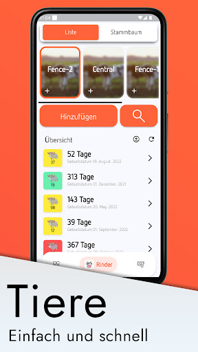 Meine Rinder Screen 2