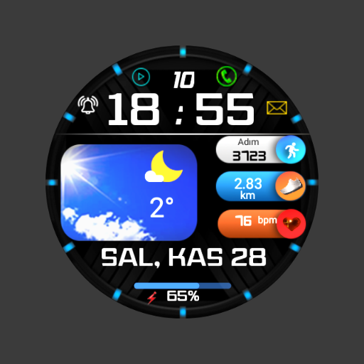 FSW248 Watchface logo