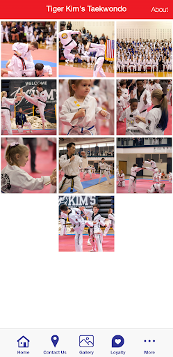 Tiger Kims Tae Kwon Do Screen 3