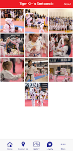 Tiger Kim's Tae Kwon Do