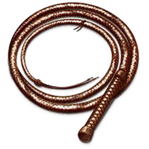 Pocket Whip logo