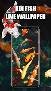 Koi Fish Live Wallpaper | Koi Fish Wallpapers