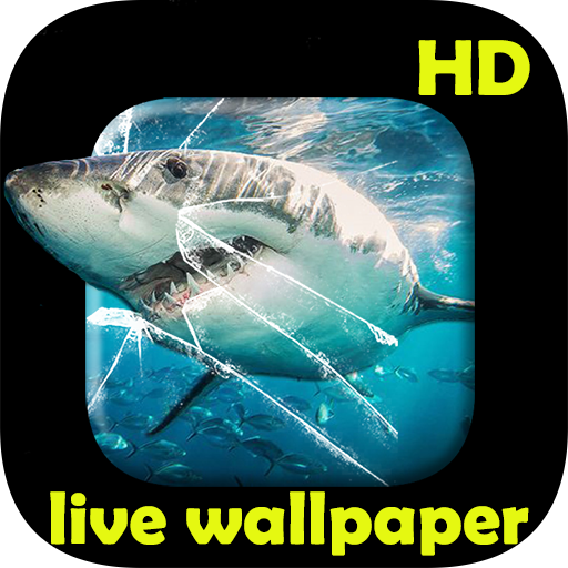 Shark video Live Wallpaper  Icon