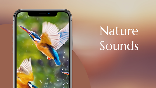 Nature Sounds - Relaxing music Screenshot 1 - AppWisp.com