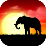 My Africa Live Wallpaper icon