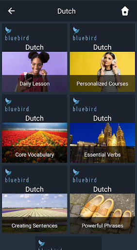 Android application Learn Dutch. Speak Dutch. Stud screenshort