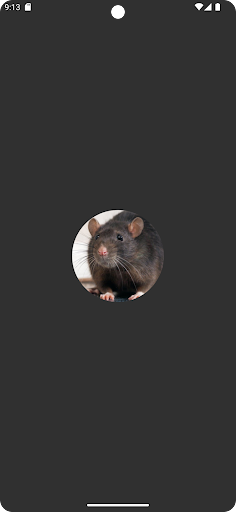 Android application Mouse and Rat sounds screenshort