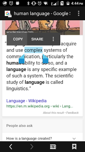 Sinhala Dictionary Screen 2