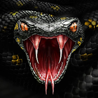Snake Wallpaper