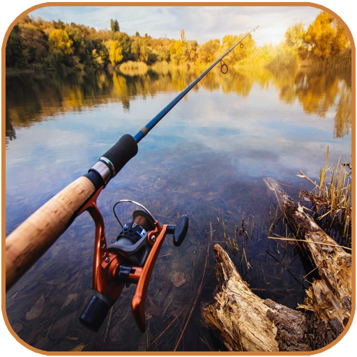 Fishing Wallpapers Download on Windows