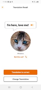 تحميل تطبيق Meow Talk التكلم مع القطط وترجمة الكلام 1