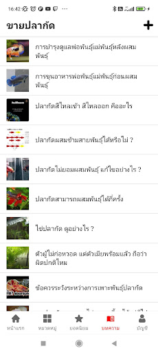 ขายปลากัด Screen 3