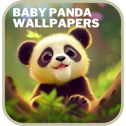 Baby Panda Cute Wallpapers