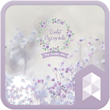 Violet Gypsophila theme icon