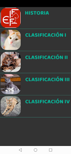 Razas De Gatos Screen 2