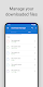 screenshot of Download manager