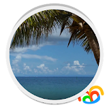Beach Palm Tree Live Wallpaper icon