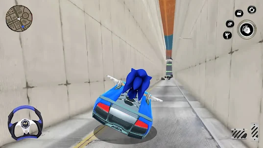 Blue hedgehog Racer Dash