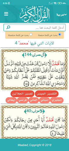 Quran Search Screen 3
