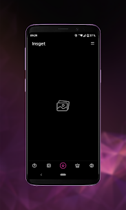 Insget – Instagram Downloader 3.5.0 4