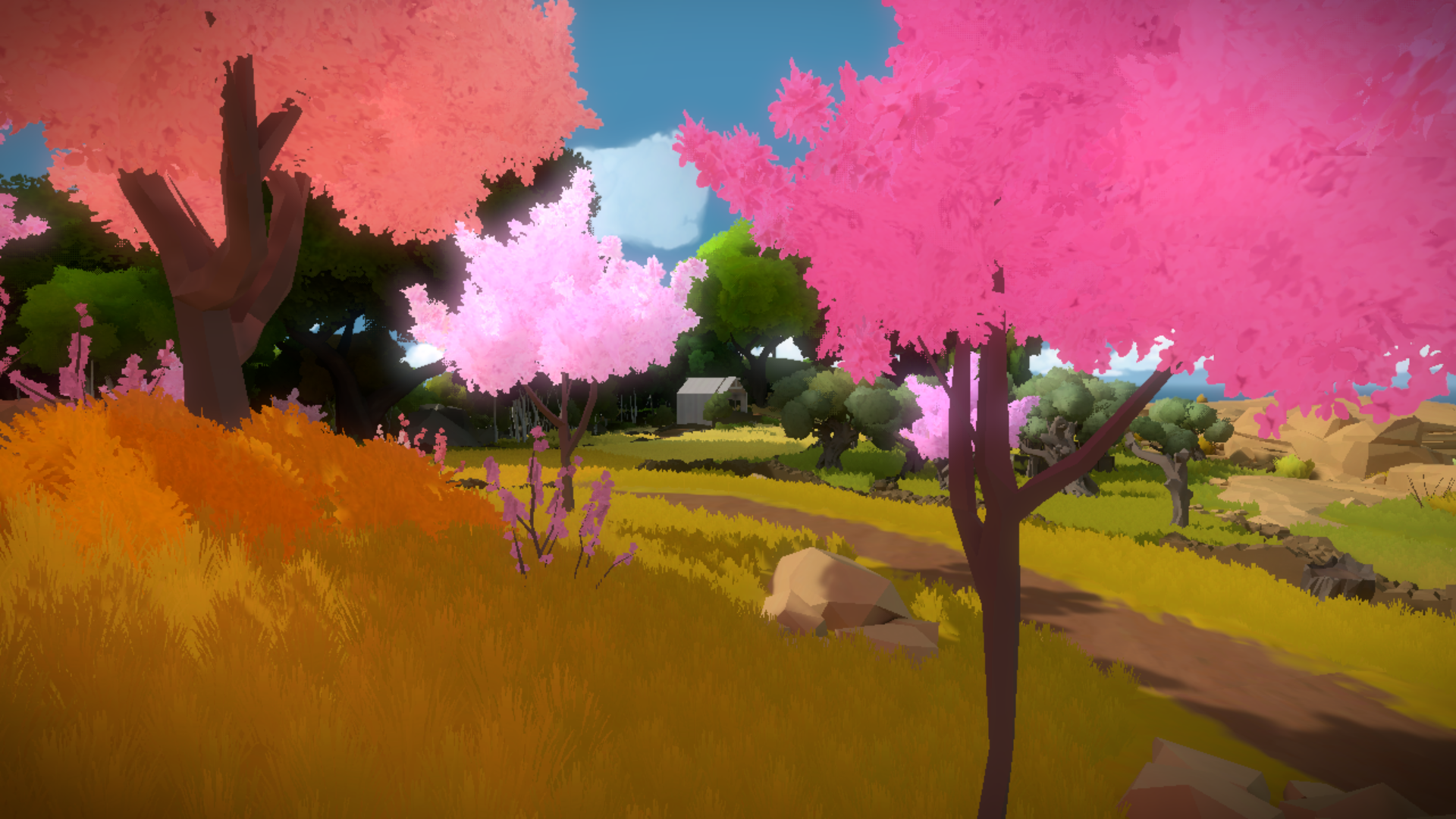 Android application The Witness screenshort