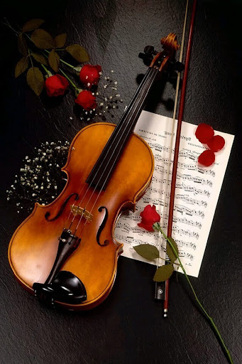 Download Violin Wallpaper Free for Android - Violin Wallpaper APK Download  
