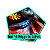 Betta Fish Wallpaper For Android icon