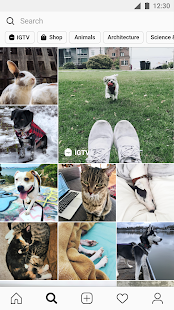 instander instagram mod apk