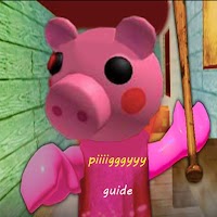 Mod Piggy instructions guide