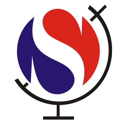 Satyam International School logo
