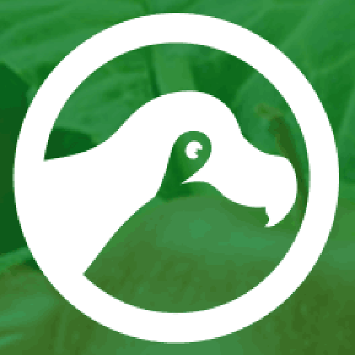 嘟嘟司机 logo