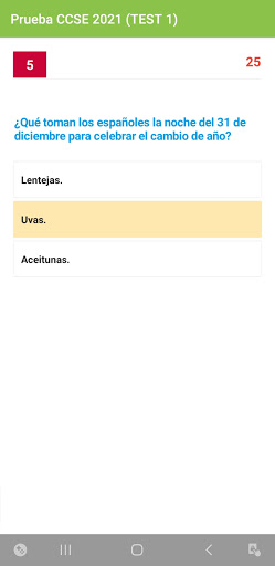 CCSE 2023 Test Nacionalidad Screen 3