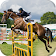 Horse Jumping: Horseback Riding 2017 icon