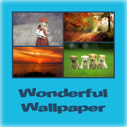 Wonderful Wallpapers logo