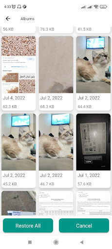 Deleted Photo & Video Recovery Screen 3