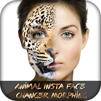 Animal Insta Face Changer Morphing