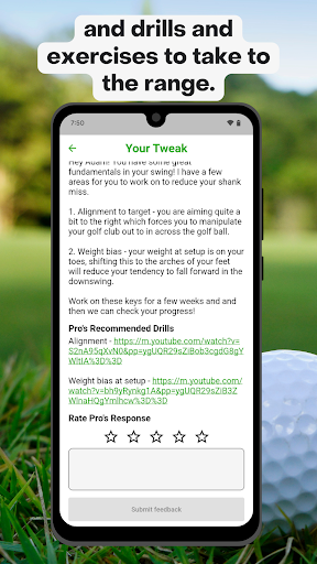 Screenshot of Swingtweaks