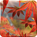Autumn Tree Free Wallpaper icon