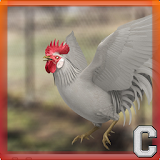 Red Rooster Simulator icon
