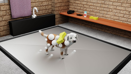 Animal Shelter Simulator Pro 1 APK + Mod (Free purchase) for Android