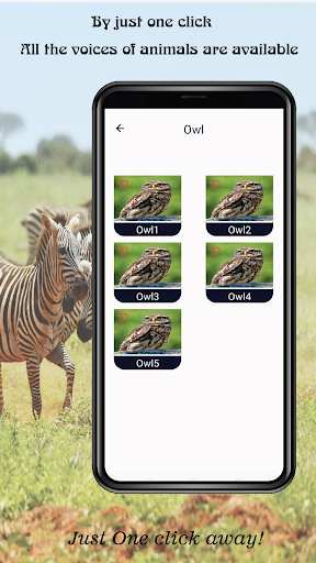 Android application Animals Sound Prank screenshort