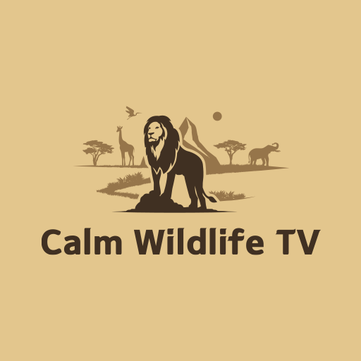 Calm Wildlife TV 0.9-460 Icon