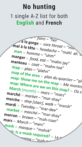 Travelers French Cheat Sheet Screen 2