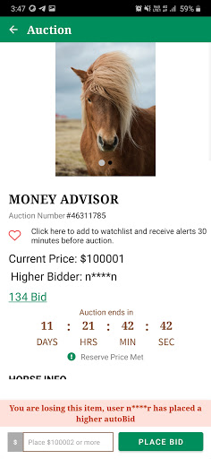 HarnessHorseAuction Screen 3