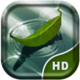 Water Leaf  Live Wallpaper icon