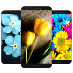 Cover Image of ดาวน์โหลด 🌺 Flower Wallpaper HD 🌷 12 APK