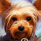 yorkie wallpaper logo